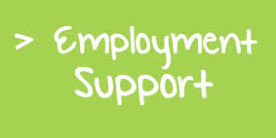 BMBC Employment Support Helpdesk