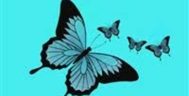 Butterflies Dementia Support and Activities Group Barnsley